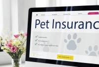 What To Consider Before Buying Pet Insurance