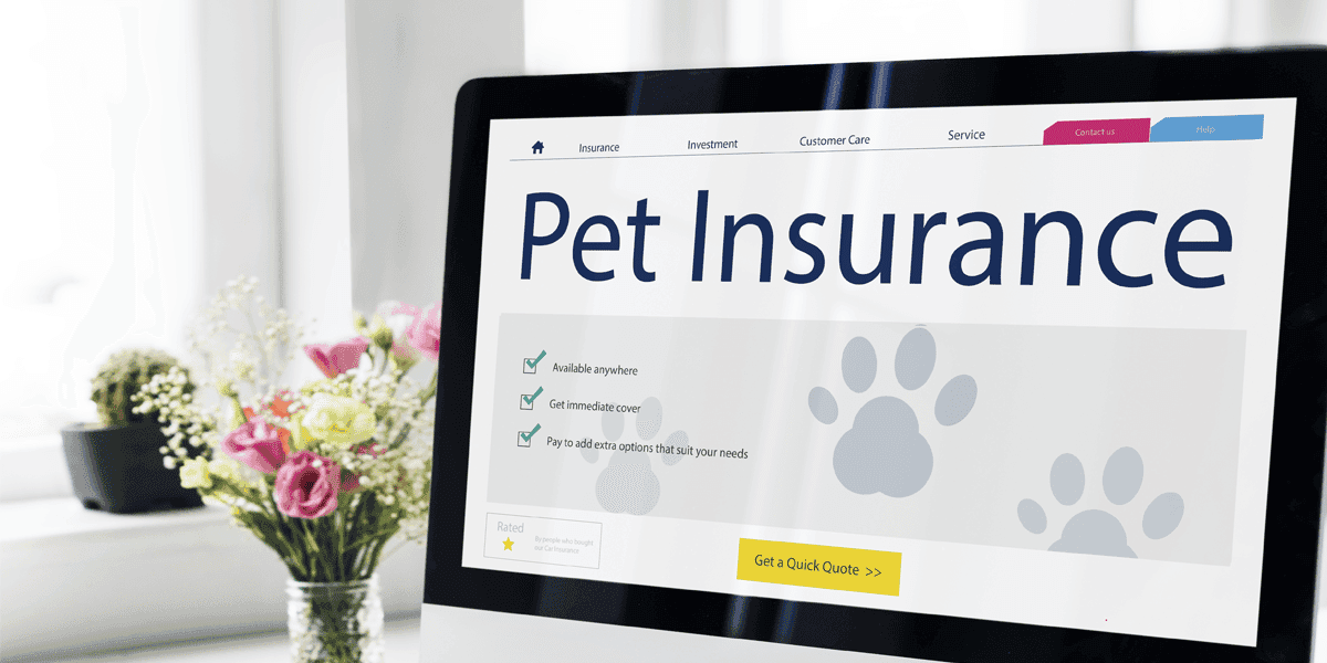 What To Consider Before Buying Pet Insurance