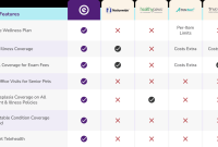 How To Get The Best Rates On Pet Insurance Today