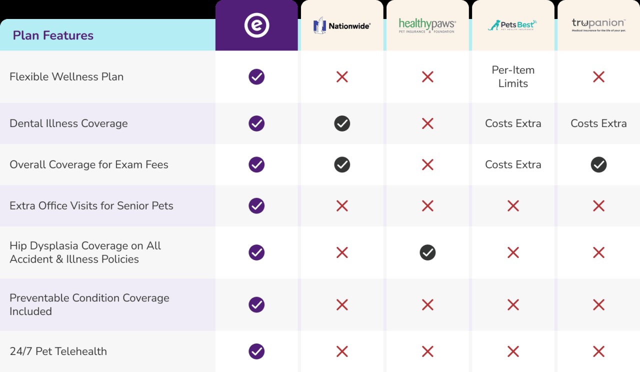How To Get The Best Rates On Pet Insurance Today