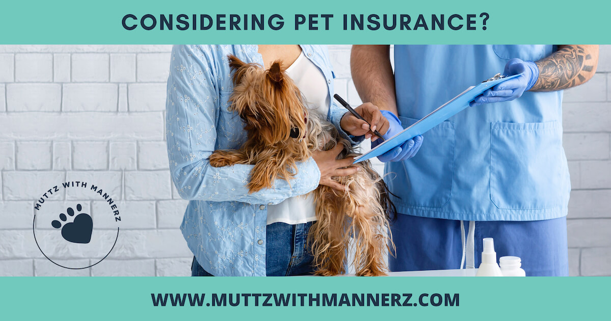 What To Consider Before Buying Pet Insurance