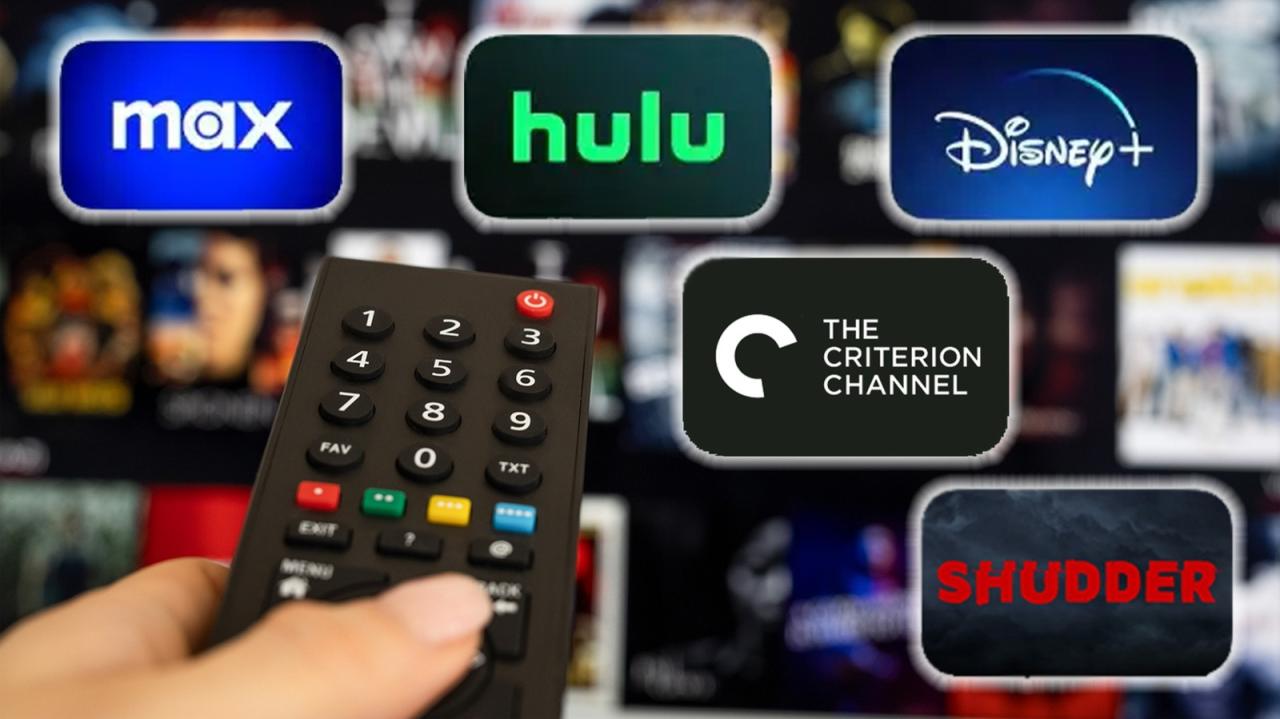 The 10 Best Streaming Services Ranked