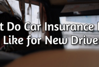 How Does Vehicle Insurance Work For New Drivers Explained
