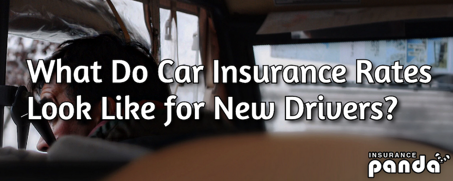 5 Reasons Why It’s Very Important For New Drivers To Get Car Insurance How Does Vehicle Insurance Work For New Drivers