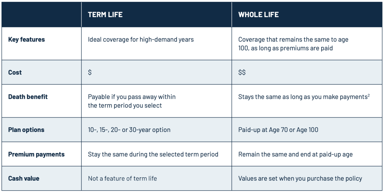 How To Choose The Right Life Insurance Plan